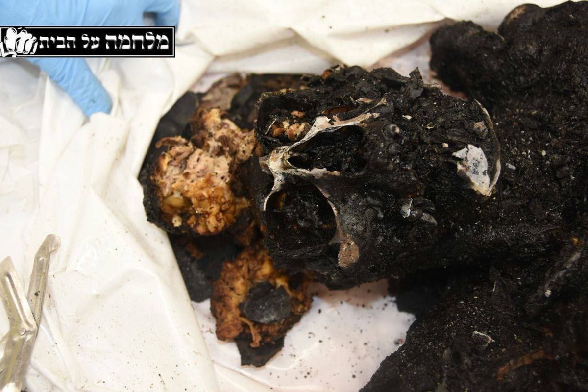 Israel18444024's tweet photo. warning!  Did you manage to forget?  Here are some pictures that will remind you of the abominable murder...😭😭😭

#HamasTerrorists
#Hamas_is_ISIS #HamasNazis #الحرب_العالمية_الثالثة #ป๋อจ้านงานเดียวกัน #ChiefsKingdom #Browns #عزيز_يا_يمن #معبر_رفح #TheMaskedSingerUK https://t.co/GuXXMbPiGU