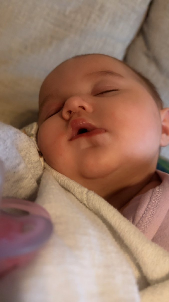 Molls_ballz_'s tweet photo. My little chunk 🥰 https://t.co/puK4b6VbZD