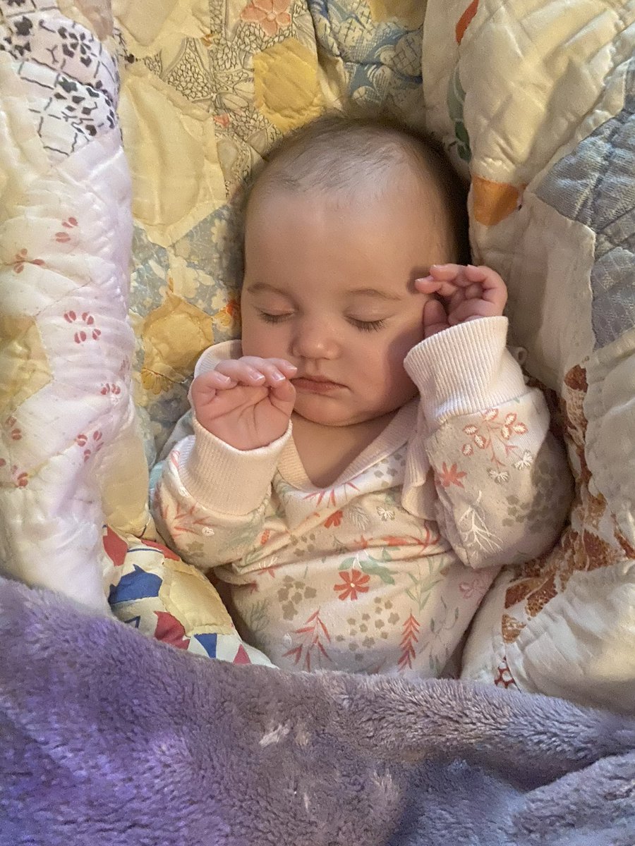 Molls_ballz_'s tweet photo. My little chunk 🥰 https://t.co/puK4b6VbZD