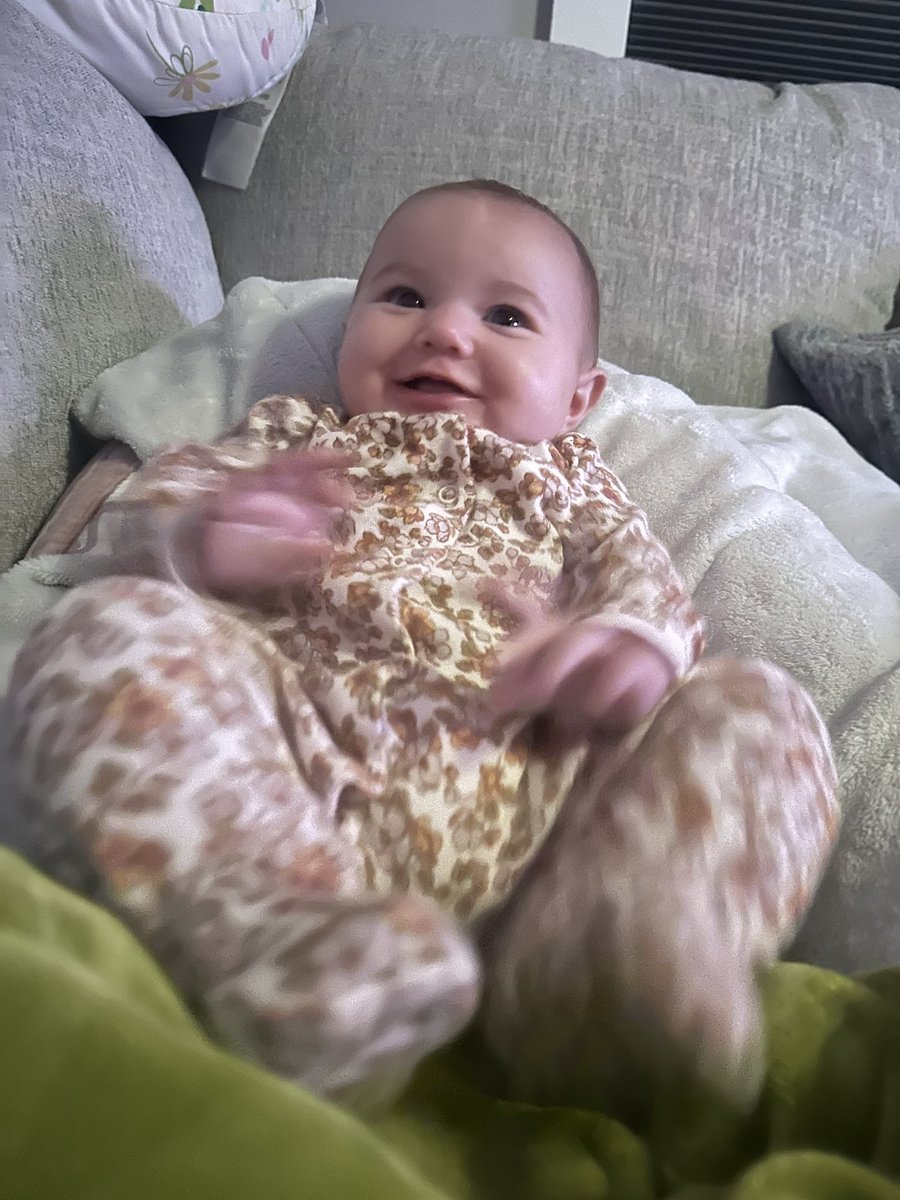 Molls_ballz_'s tweet photo. My little chunk 🥰 https://t.co/puK4b6VbZD