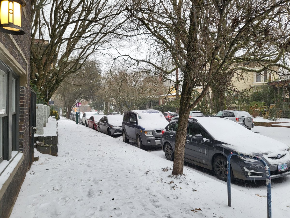 officetutorials's tweet image. It is a Winter Wonderland in the Rose City! #PDX #2024Snow ❄️