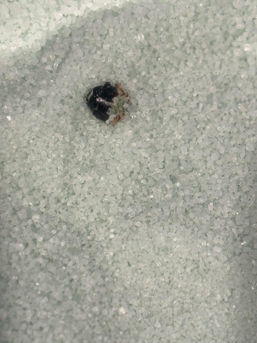 Christin tweet media