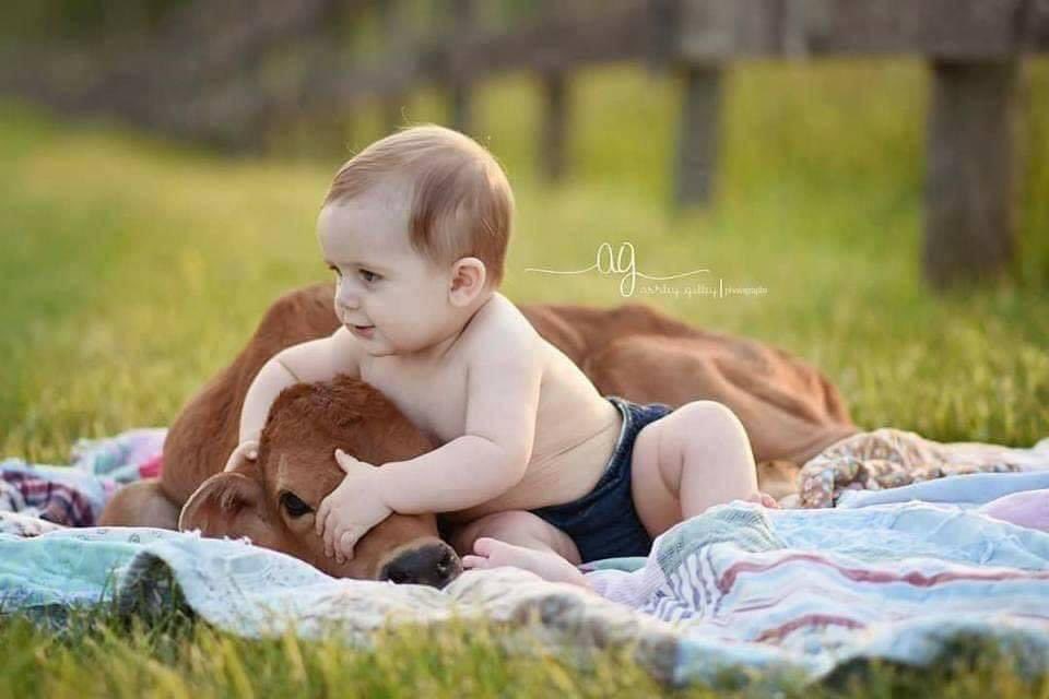 itimaliasof's tweet image. o ensaio fotográfico mais fofo de todos os tempos 🥰❤️