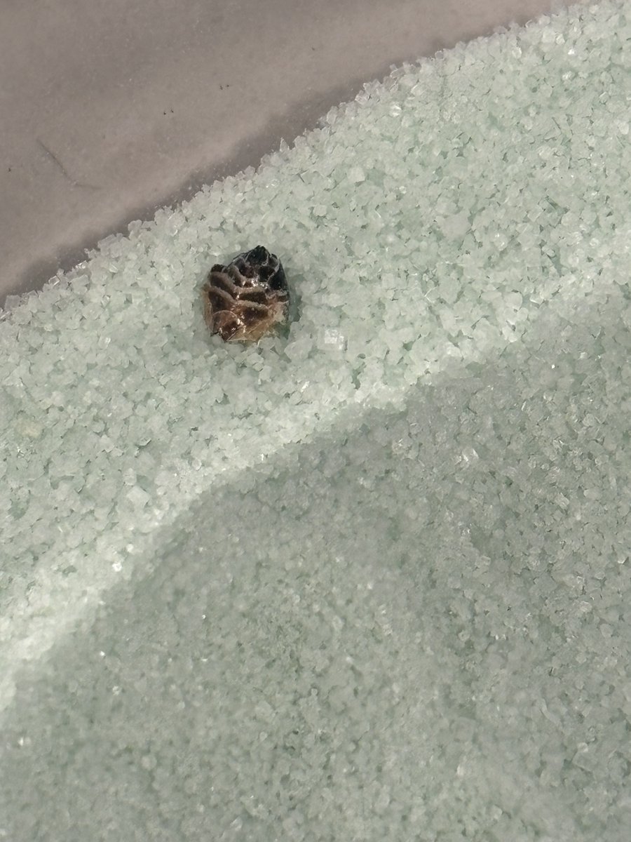 Christin tweet media