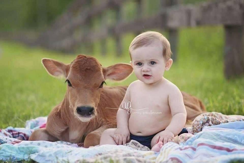 itimaliasof's tweet image. o ensaio fotográfico mais fofo de todos os tempos 🥰❤️