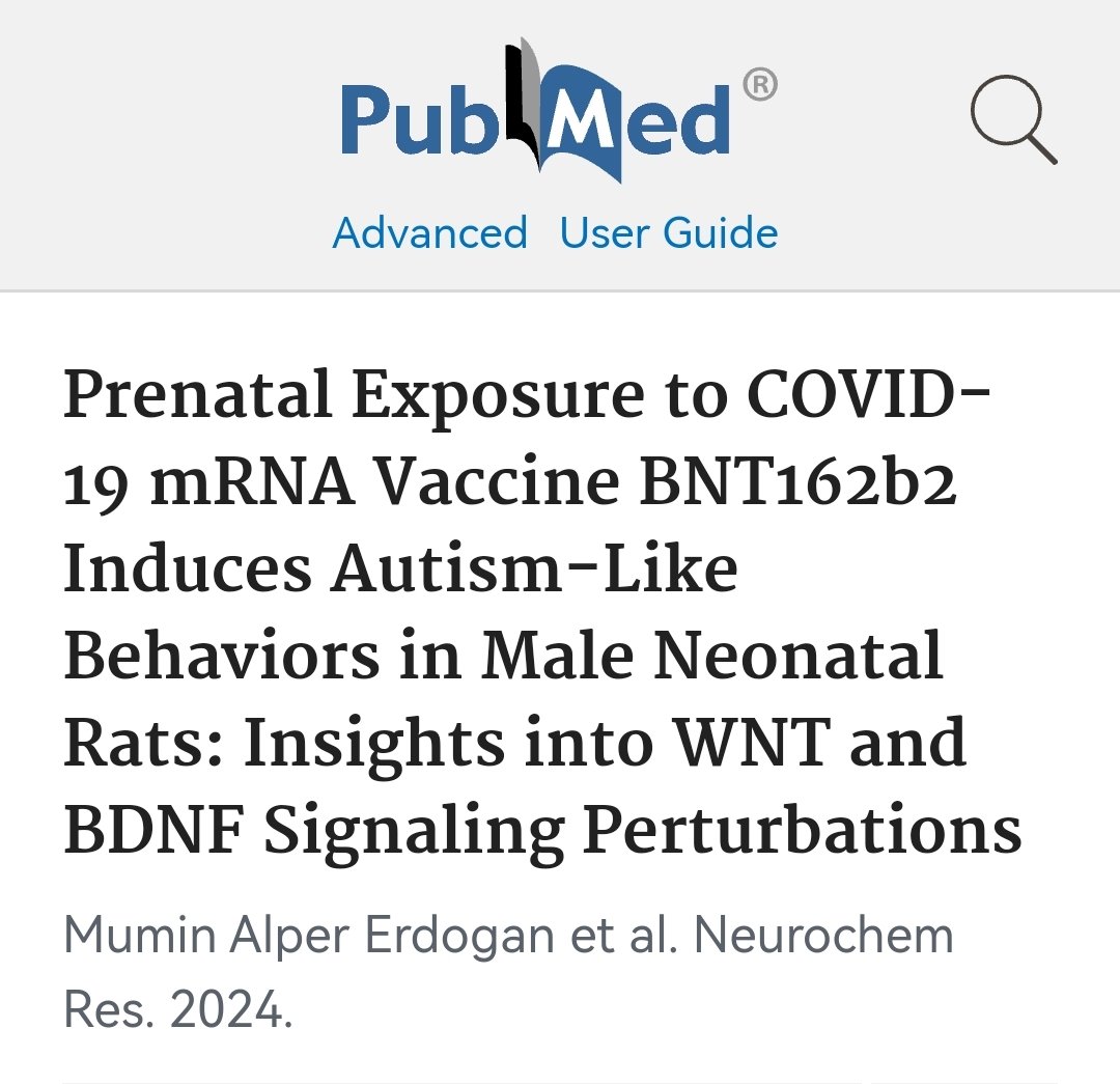 Nyt kun jälkeenpäin tehdään  rotta kokeita, niin karvat nousevat pystyyn. Rotan penikoilla autistisia käyttäytymisongelmia. 

Merkittäviä muutoksia WNT-geenin ilmentymisessä ja BDNF-tasoissa sekä rokotettujen rottien urosten että naaraiden jälkeläisillä.

Urospuolisilla