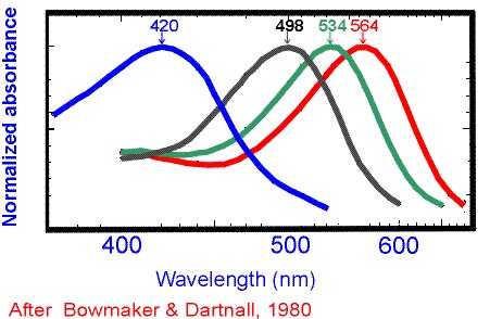 Invisible Entity 🧬 🇪🇺 tweet media