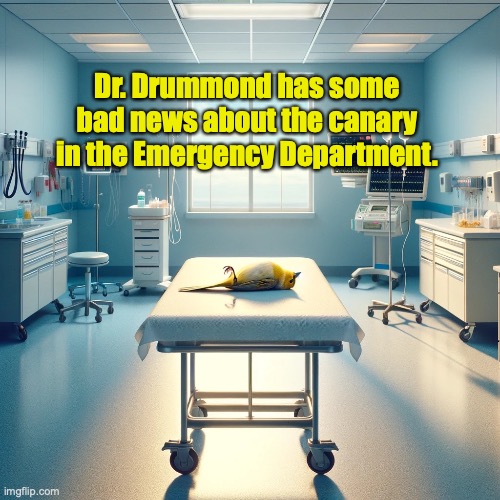 alandrummond2's tweet photo. Another shit week for Canadian Emergency Medicine and the 15 million people we serve https://t.co/RnVvp7p9Fv