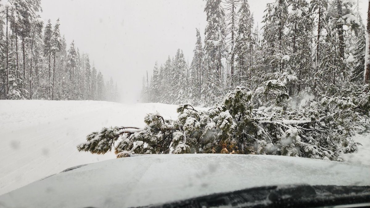 OregonDOT tweet media