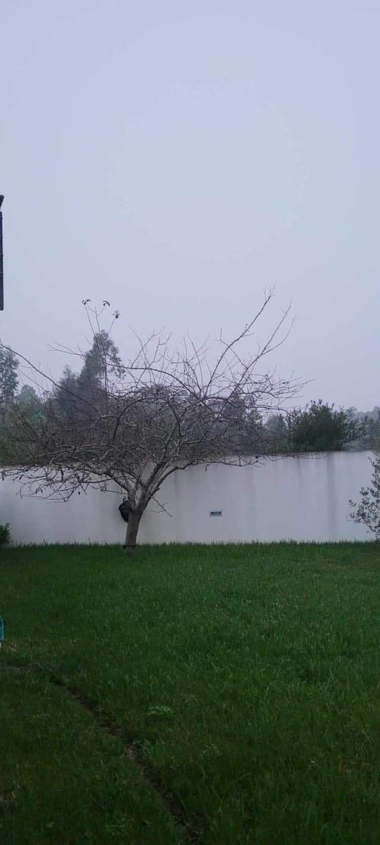 Life is all about Perception.

Jump that fence
Or 
Take that dive.