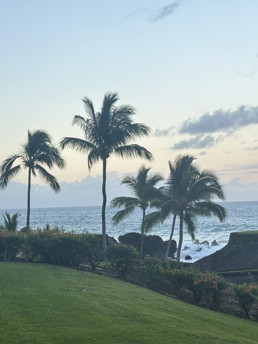 We lost my brother in law at Thanksgiving 2022. Today, after 14 months his remains will be peacefully scattered off the coast of his favorite scuba spot in Kona. 

My daughter won’t grow up knowing her uncle, but his memory and spirit will live on. 

Z”L