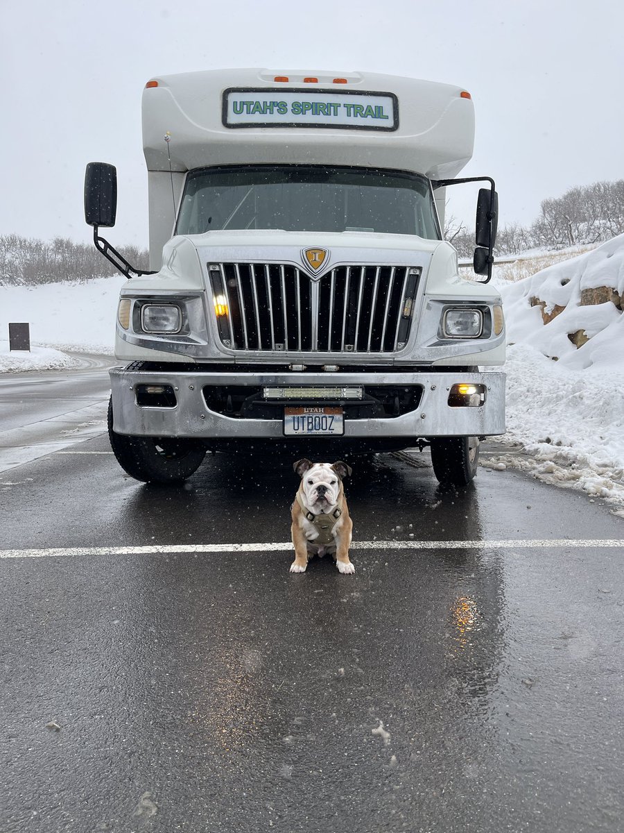Today we were out on the trail with our newest employee, Emmett. He represents the only member of our staff that has his rabies shot. 

We have an amazing group out, enjoying their adventure thanks to @saltflatsbrewing @dentedbrickdistillery <a href="/drinkhighwest/">High West Distillery</a> and <a href="/eightsettlers/">Eight Settlers Distillery</a> !