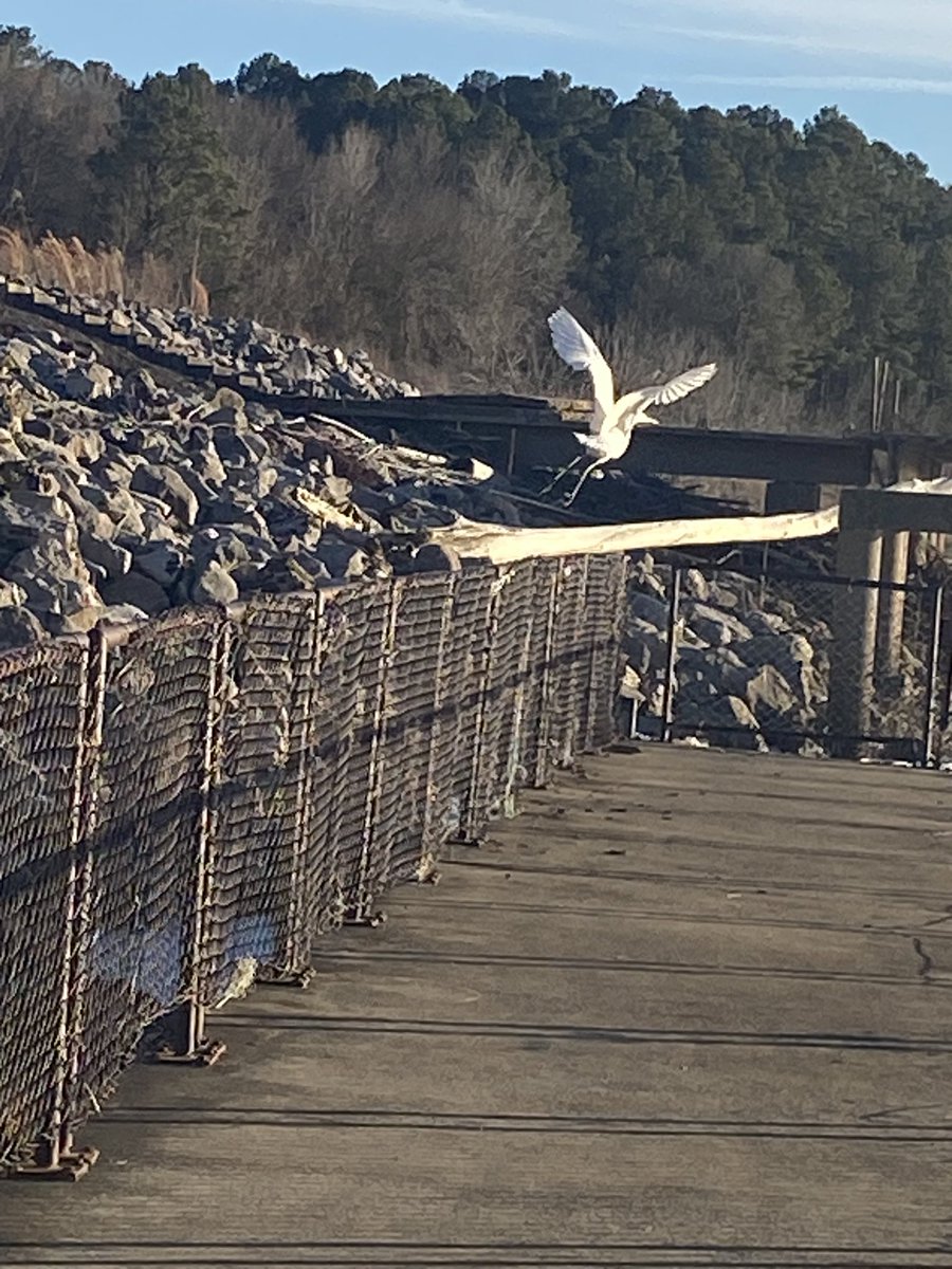 Downtownfairy's tweet photo. It was a lovely day after it warmed up a bit. We went yo the dam. #ExploreColumbus https://t.co/KYgkSFebsm