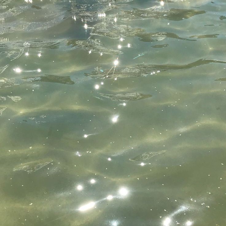 softdeIicacy's tweet photo. touching the water. https://t.co/qdr1tDl08K