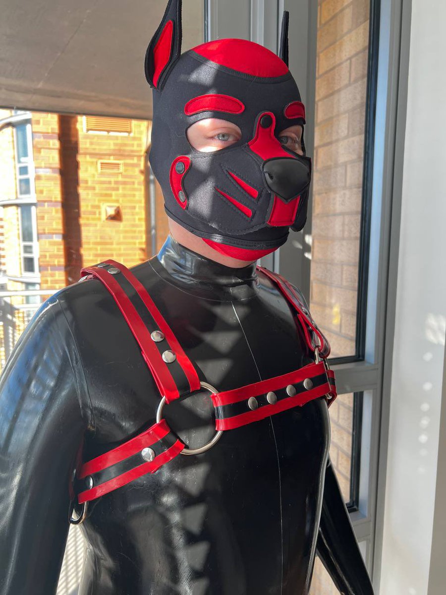 NuggyPup's tweet photo. My first time in a rubber catsuit! I definitely will be getting more soon. ❤️ https://t.co/JqYiNkyn2D