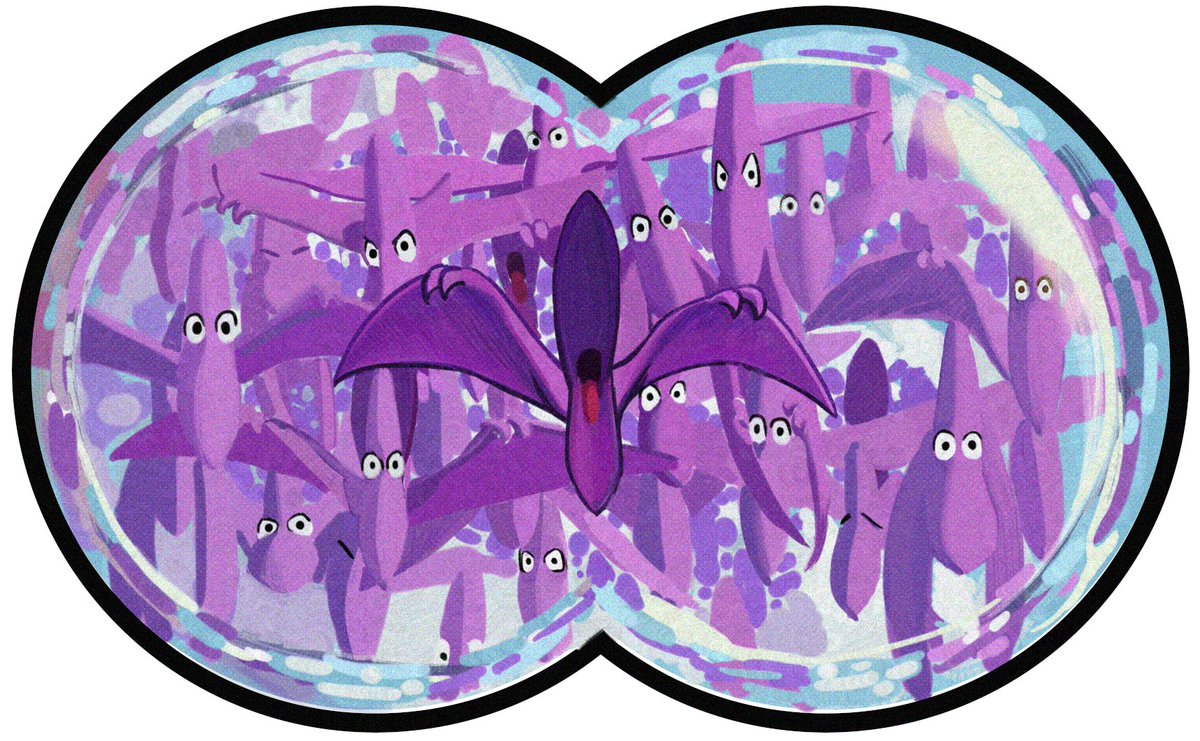 ReengusDarta's tweet photo. When the flock of Whirlys is descending on the city, chilling in the lake isn't an option.  Frumbo is always happy to retrieve the faux Whirly drone :) 🟧🟧 https://t.co/eKTi2KGniF