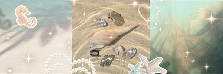 ☾ ⁺₊ ¡! tweet media