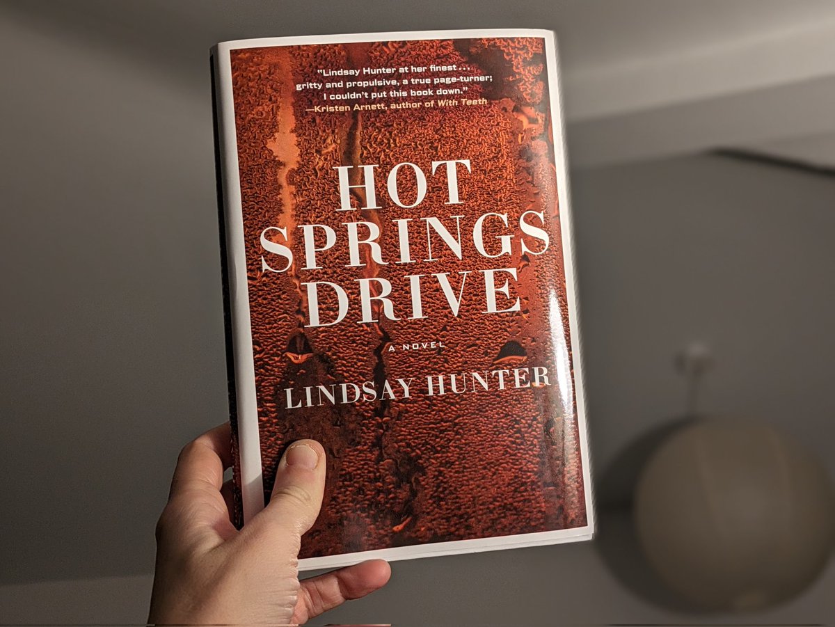 Hot Springs Drive by Lindsay Hunter. How the heck do I sum this up in so few words? There is a Before, there is a murder, and then an After. The hurt, the pain, the damage. There's so much inside this book. The writing is absolutely spectacular. My heart.