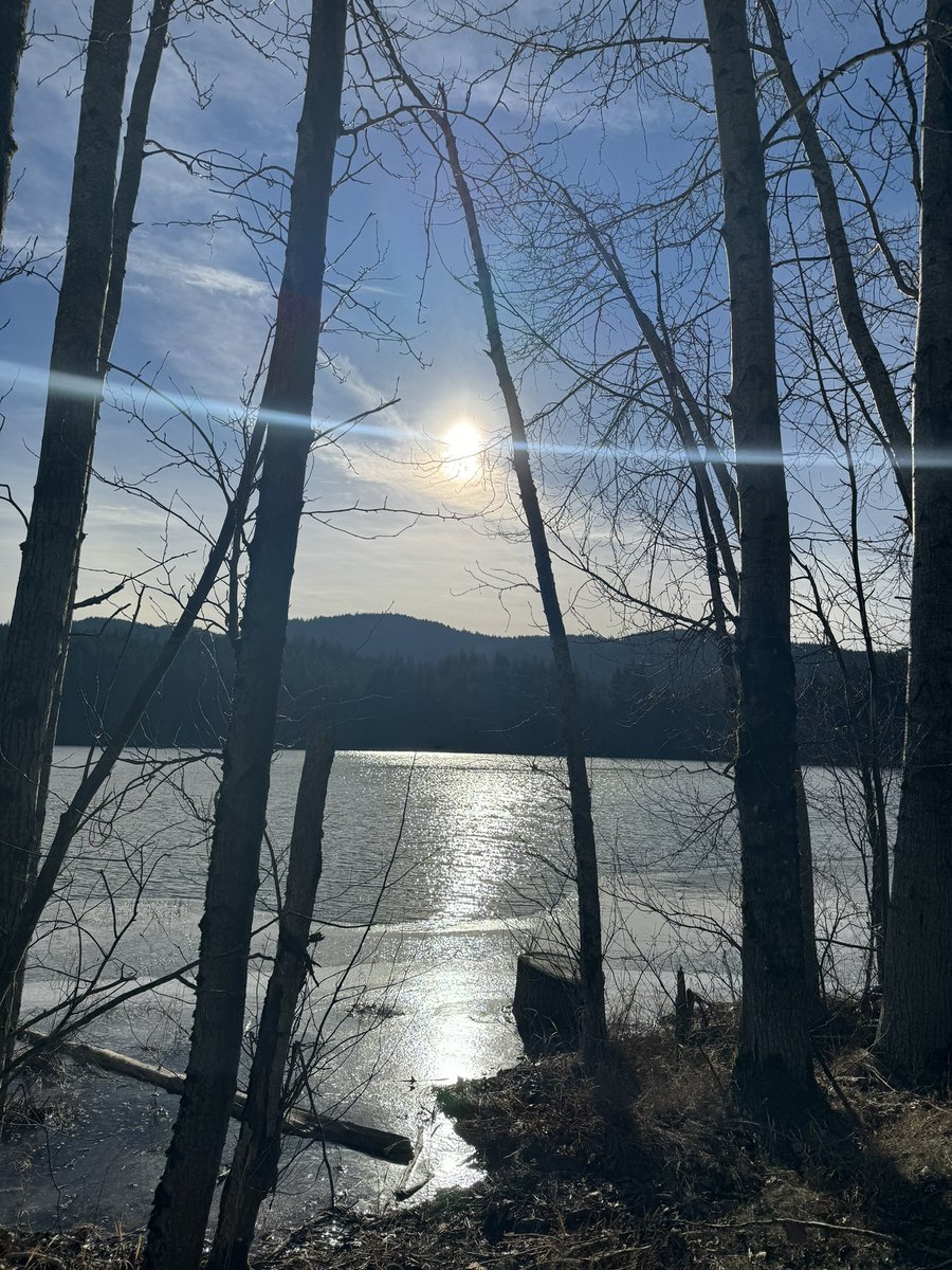CourtStrand's tweet photo. #ViewFromMyRun #LeftCoastRunners #CourtRuns #BellinghamWA https://t.co/wARdIWdnW0