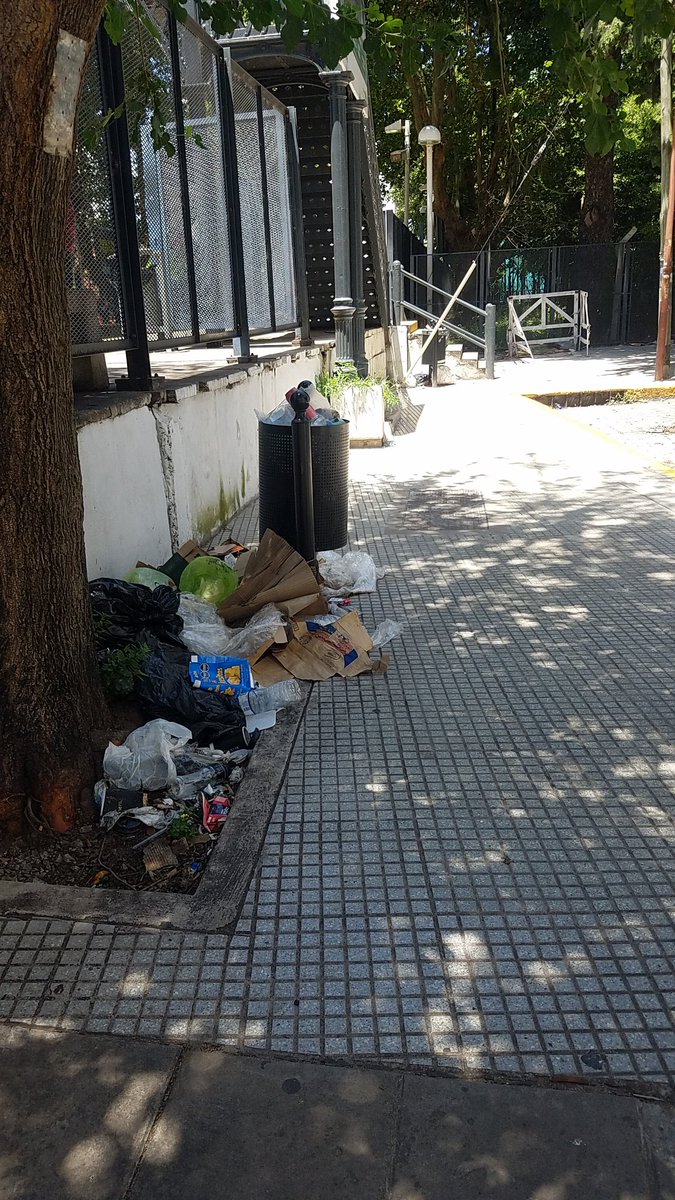 Karina Wigdorovitz tweet media