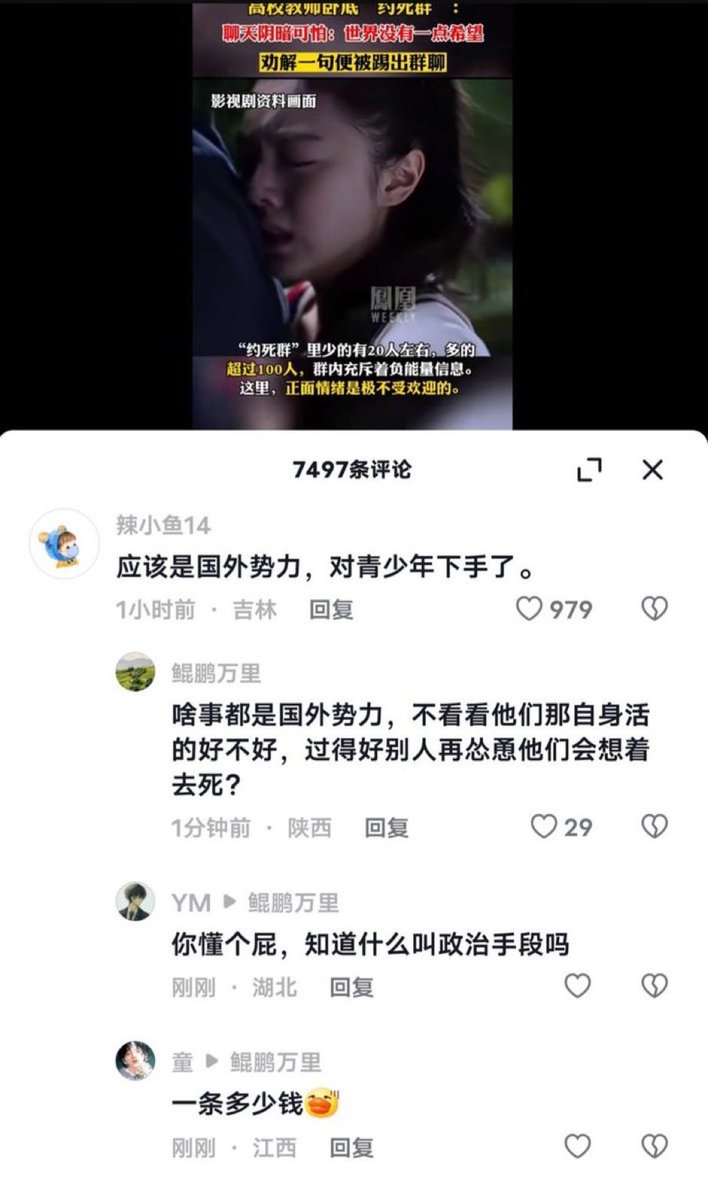 小陀螺 tweet media