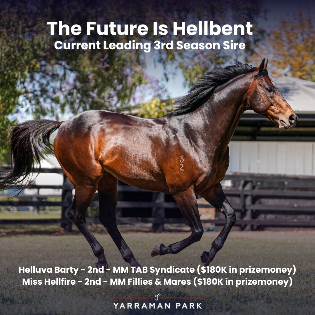 The Future Is Hellbent
After 2 very close seconds on the big <a href="/mmsnippets/">Magic Millions</a> Raceday - Hellbent is now leading 3rd Season Sire. 

@ODeaHoysted / <a href="/TheRacingLeagu3/">The Horse Racing League</a> - Helluva Barty
<a href="/SnowdenRacing1/">Snowden Racing</a> / <a href="/TripleCrownSynd/">Triple Crown Syndications</a> - Miss Hellfire