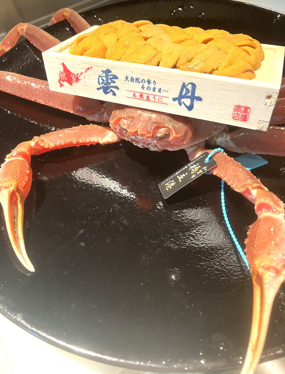 加能ガニプレゼント延長開催中！
⁡
抽選で1名様に
石川県産タグ付き加能蟹当たる！
（詳しくは固定ポストを）
⁡
1⃣<a href="/kanazawakani/">のどぐろ金沢みのりやX🦀</a> をフォロー📲
2⃣この投稿をいいね♥＆リポスト🔃
⁡
x限定で、どの投稿からでも
応募可能
⁡
今日のワクワクカニ画像🥹

ウニは当たりませんよ
当たるのはカニです😂🦀