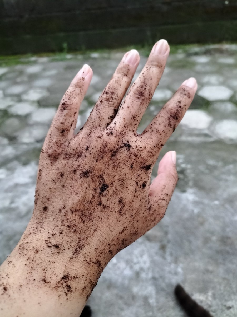 Kalau sore aku biasanya scrub pakai ampas kopi dioleh ke tangan atau kaki yang dirasa memang butuh discrub aja.