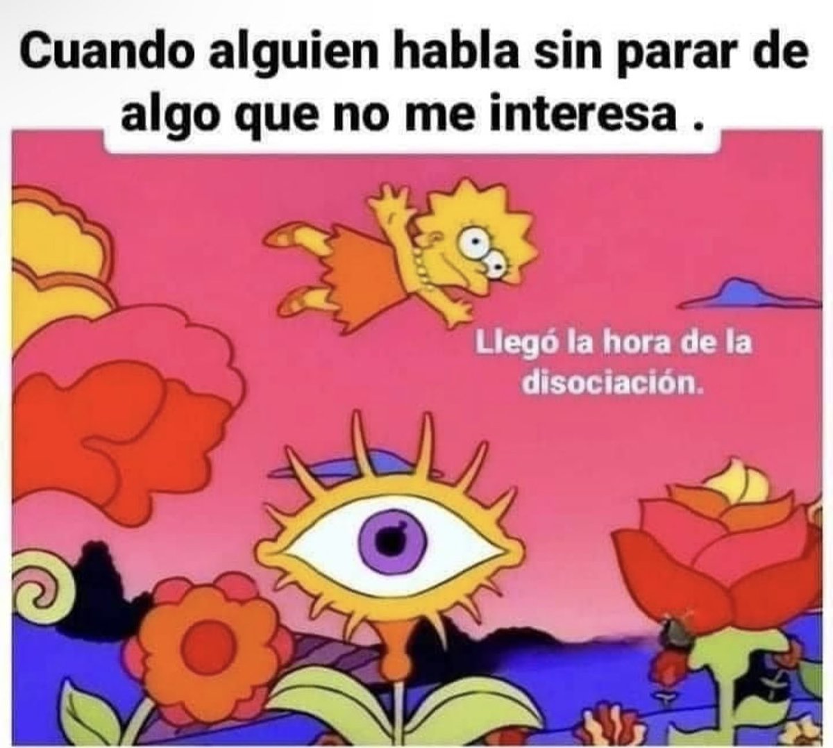 SoyFernandaBlaz's tweet photo. 😂 https://t.co/TMDMqjSMn7