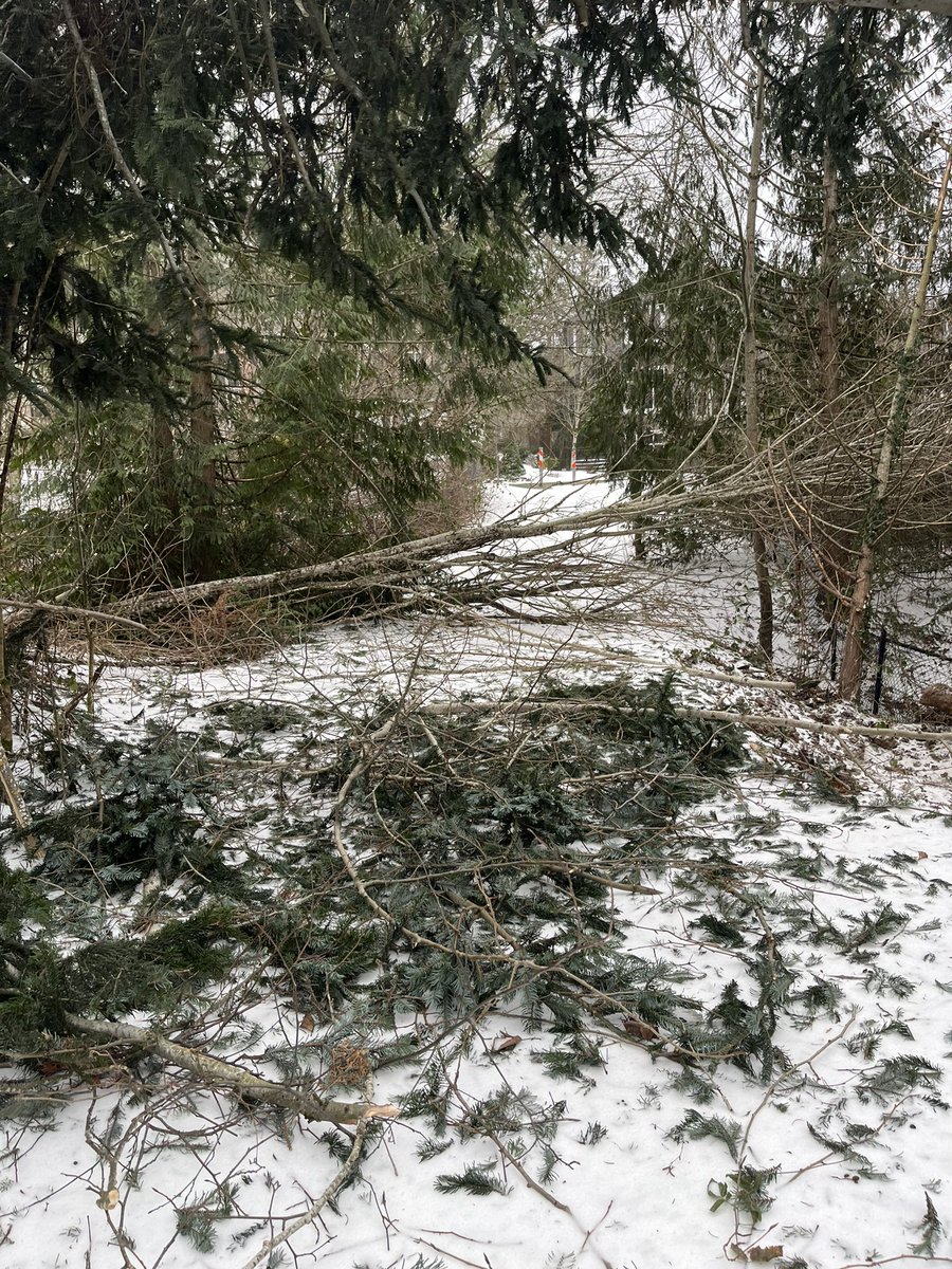 applelinux's tweet image. Thanks to @teslaenergy Powerwalls and @elonmusk , we still have electricity for many hours even after power outages at Portland due to the blizzard today! @portlandgeneral