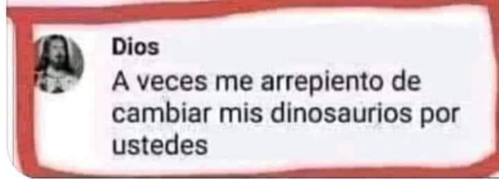 GatoDeLasEstrellas💫 tweet media