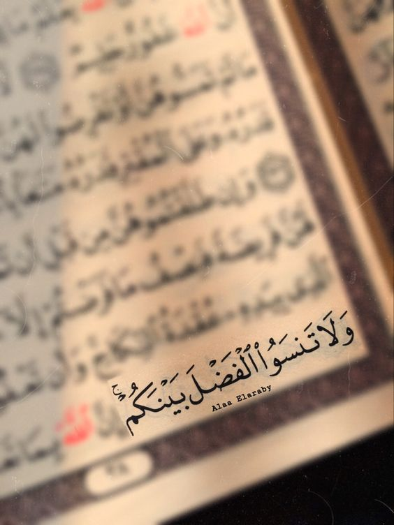 w7m7's tweet photo. مهما كانت قوّة الخلاف مع صديق أو صاحب عمل أو قريب أو حبيب .. درس عظيم في الحياة في احترام العلاقة .. https://t.co/Q1deWkGlYP
