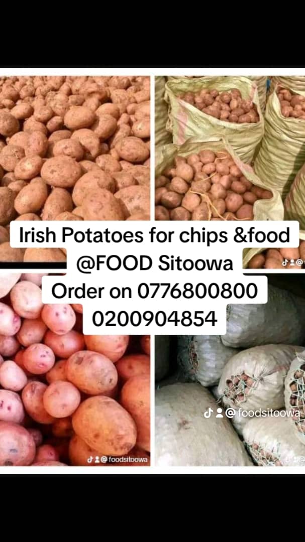 FOOD Sitoowa tweet media