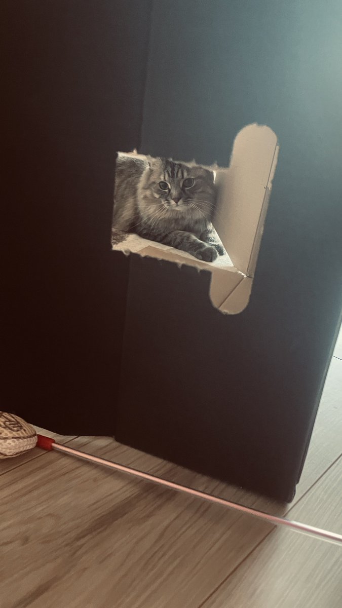 ゾゾタウンの箱