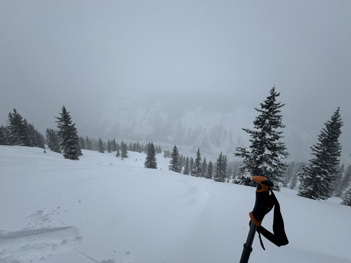 walkerthompson tweet media