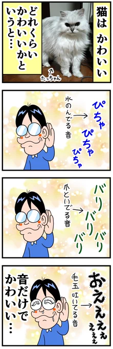 猫飼ってる人ならわかってくれるはずだ 