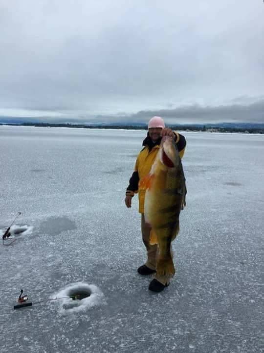 FishHeadsSports tweet picture