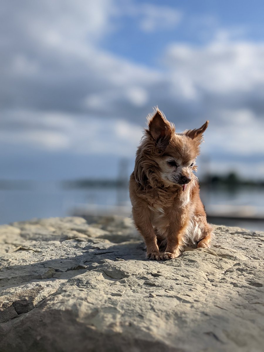 Ryan (The Pope of Dope) Roch 🫐 tweet media