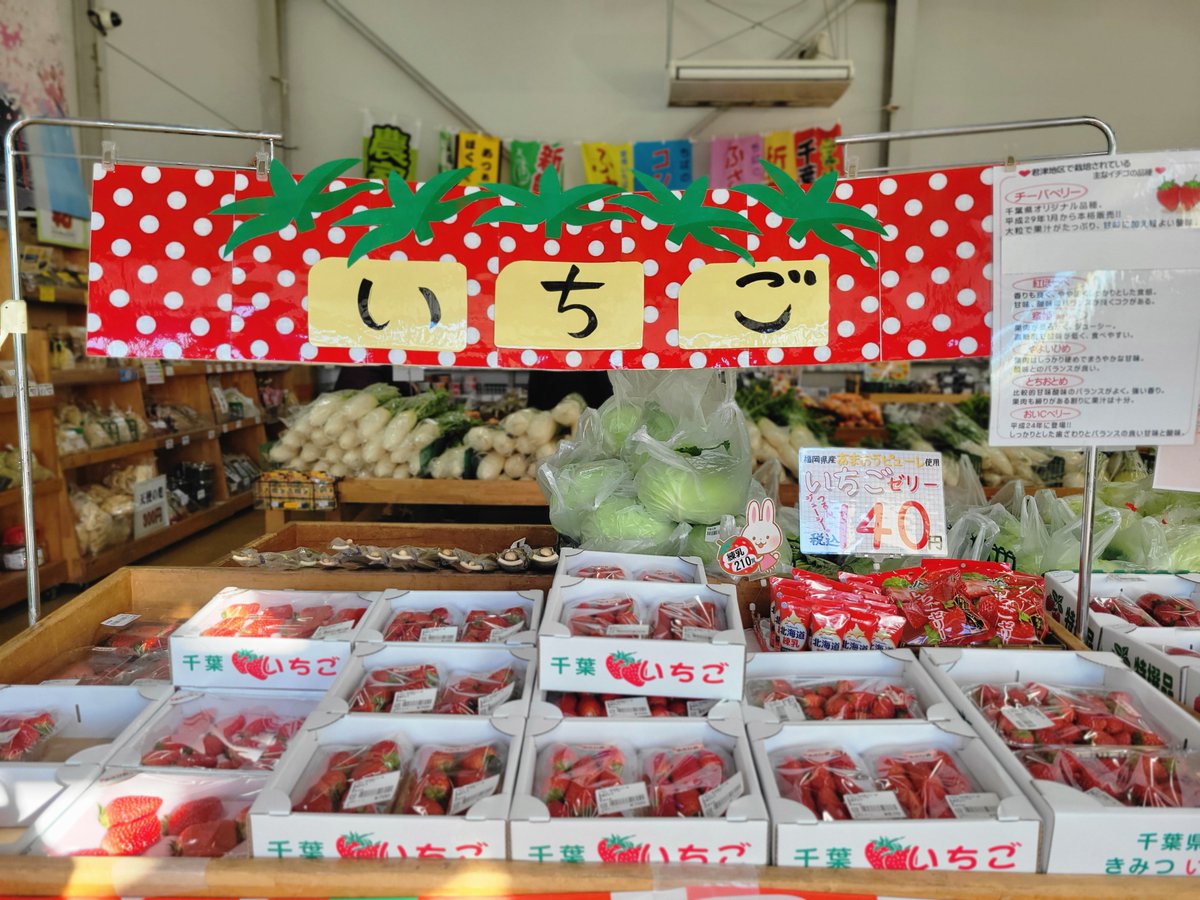 miraiobitsu1's tweet photo. 【小櫃周辺は快晴☆ 】いつもご利用頂き誠にありがとうございます。昨夜の雪や氷はすっかり溶け、雲一つ無いお買い物日和です♪いちごをはじめ白菜、キャベツ、菌床きのこなどあったかお鍋にピッタ���お野菜揃っています☆
#JAきみつ #味楽囲おびつ店 #寒い日はお鍋 ＃千葉県君津市 #直売所 #雪解け https://t.co/tPspbJ1xGB