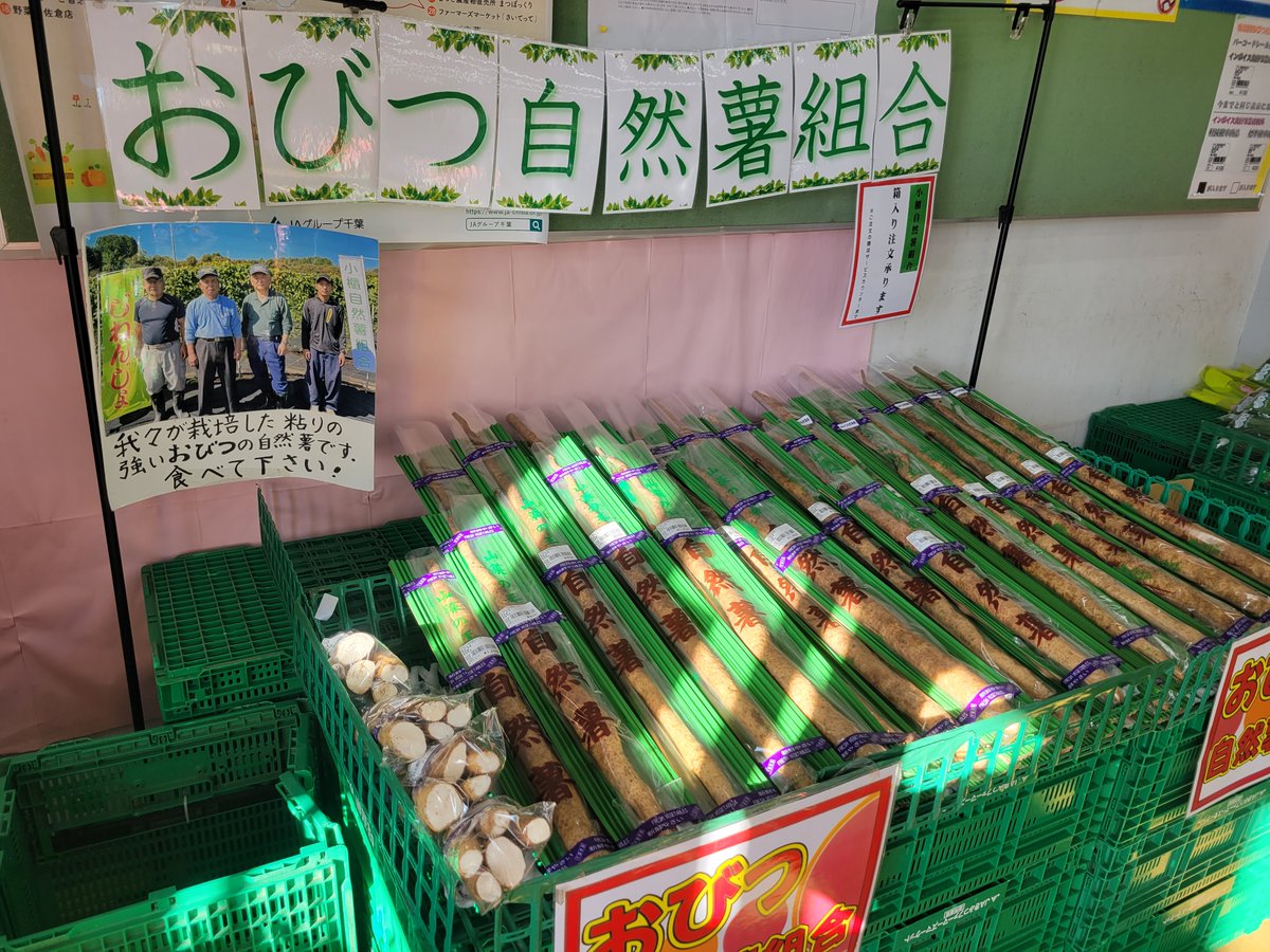 miraiobitsu1's tweet photo. 【今季の自然薯、残りわずか☆】まだお試しになっていない方！お急ぎください！！！今回も粘りの強い自然薯、��来ました！！！山田豆腐店のできたておからドーナツ、来ていますよ～
#千葉県君津市 #味楽囲おびつ店 #直売所 #自然薯 #ラストスパート #おからドーナツ https://t.co/lo1C8Lrusg