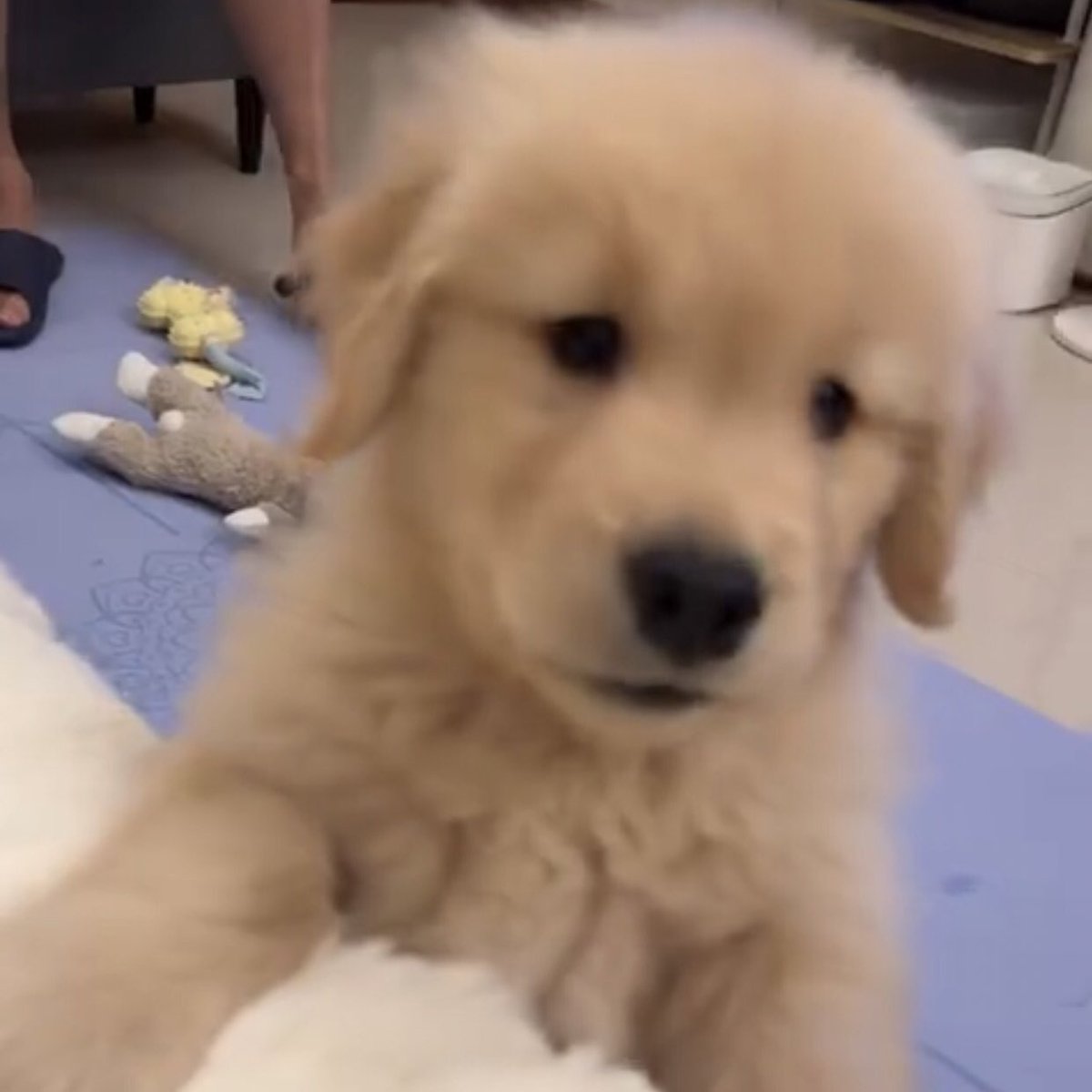 takemybear's tweet photo. ตุ่นยาง เปิดกาตูนให้ดูนอย https://t.co/Up1OTePW0o