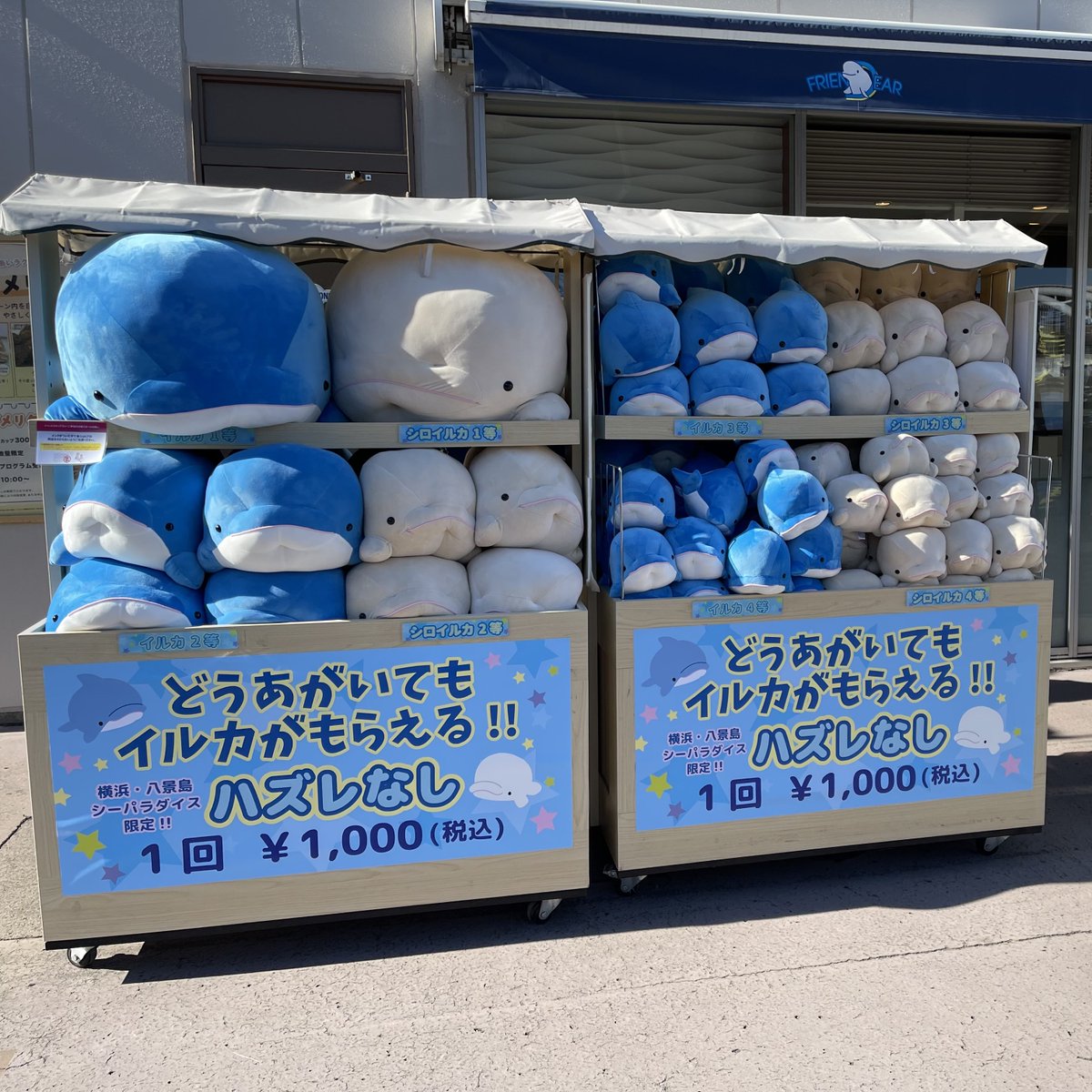 どうあがいてもメンダコがもらえる＾