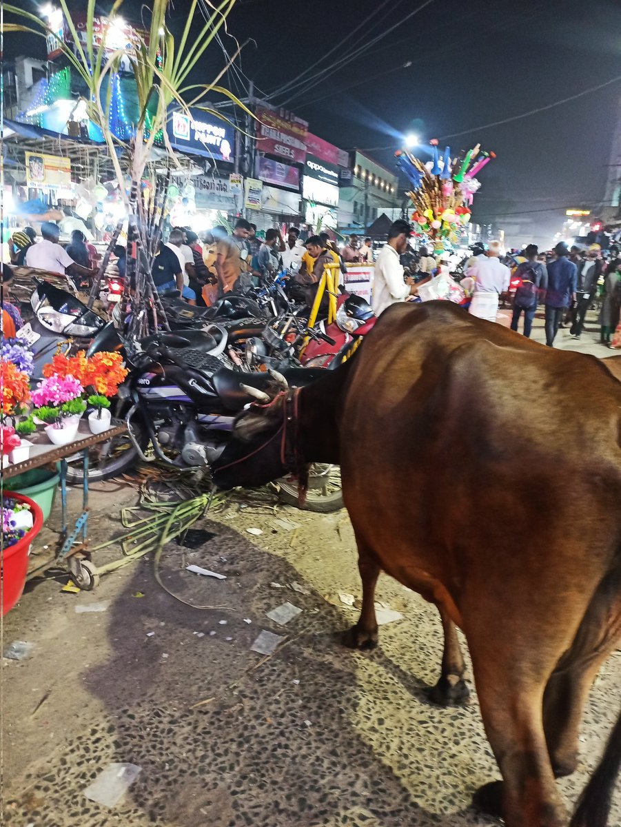 m_vigneshwk's tweet photo. தாம்பரம் மார்கெட் சுற்றி திரியும் மாடு. அதுவும் தாம்பரம் நகராட்சி அருகில் இருகிறது. நடவெடிகை எடுக்கவும்
@TambaramCorpor @tambaramcorpor2 @TambaramCorpor3 @TambaramMayorVK https://t.co/9GZClTSSv2