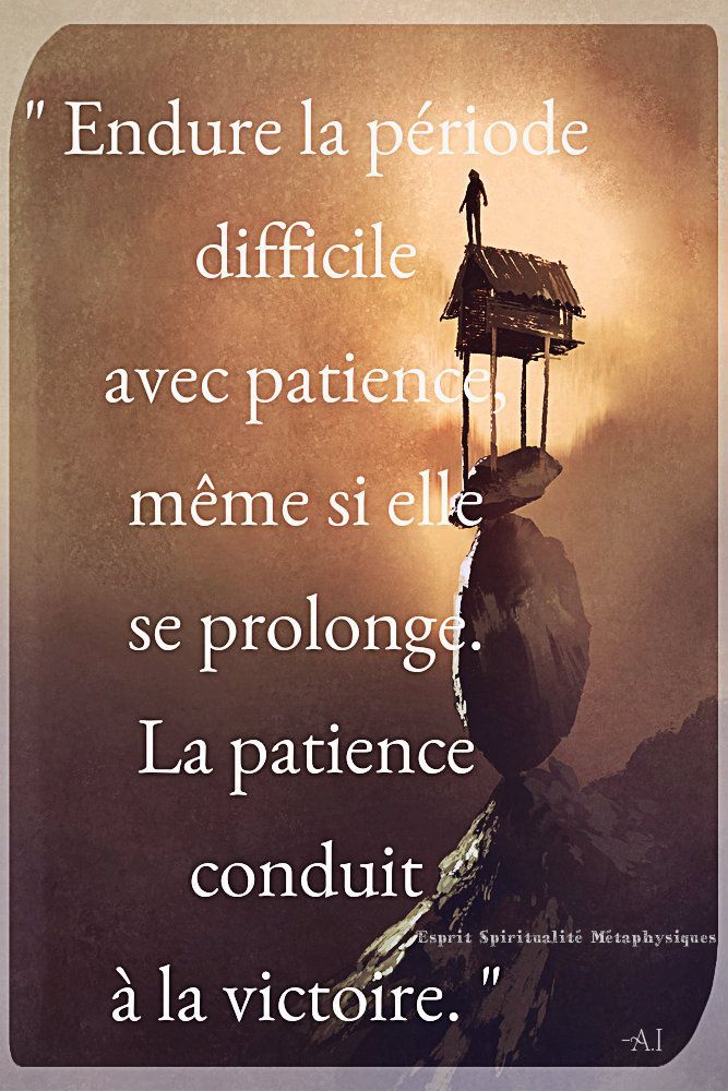 PetitColibri🕊 🇫🇷 tweet media