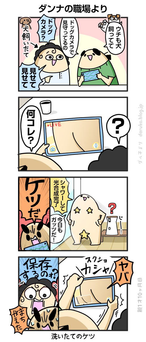 尻の事故
https://t.co/ikYJfjhnfk 