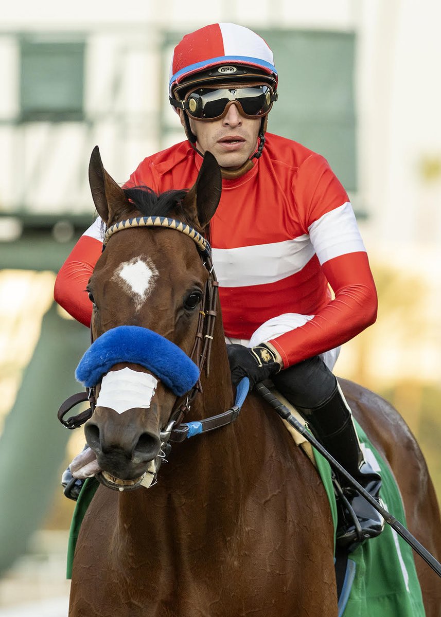 sadlerracing's tweet photo. Kings River Knight did it again! Wire to wire in the Unusual Heat Turf Classic S. @santaanitapark This marks his 8th win which brings his earnings to over a 1/2 million. Congratulations to his owners and his team at the barn! @johnwsadler @JuanLeyva1984 @NathalieDarley https://t.co/lYOOSeh0xb