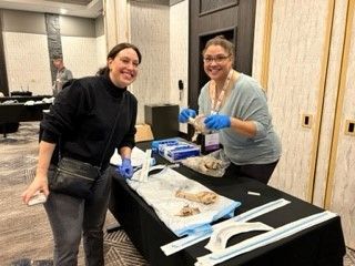 Join us at our CRASH conference in Vail, CO for an incredible Winter Anesthesia Conference. Don't miss out on all our hands-on workshops including, Comprehensive Airway. Register today to secure your spot!  bit.ly/cucrash #CRASH2024 #anesthesia #comprehensiveairway