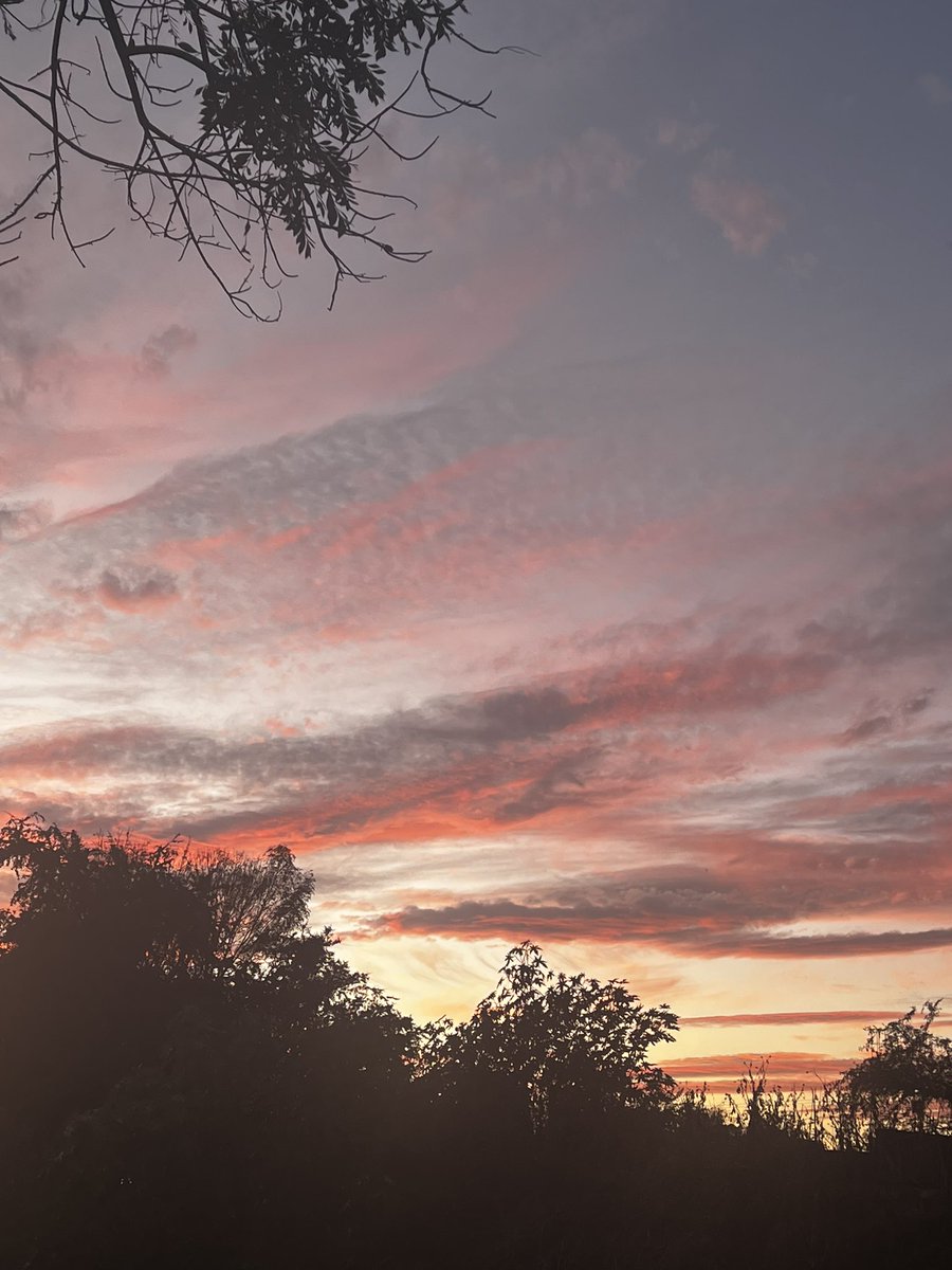 Bosqueli_'s tweet photo. El atardecer desde la casita donde crecí 🌱 https://t.co/vI6CfRfCgv