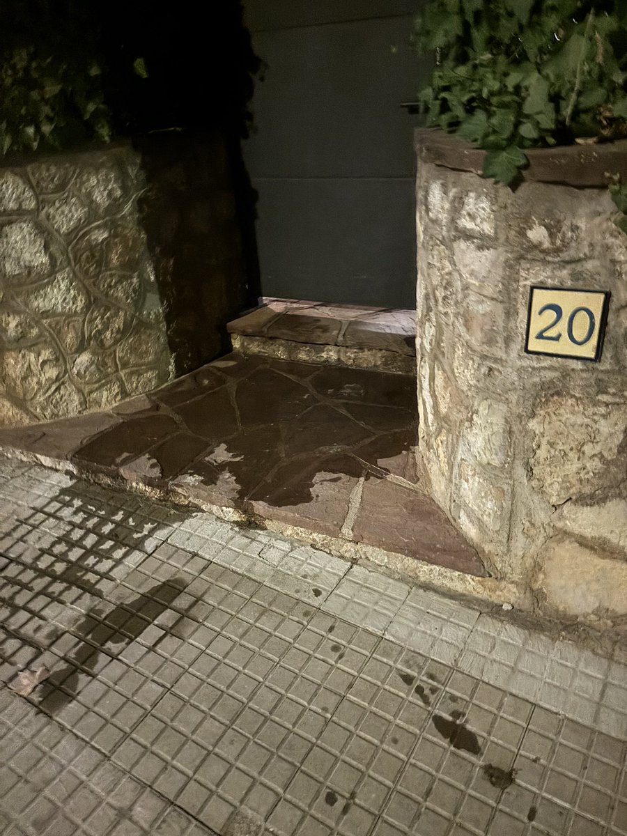 Laia Agullo tweet media