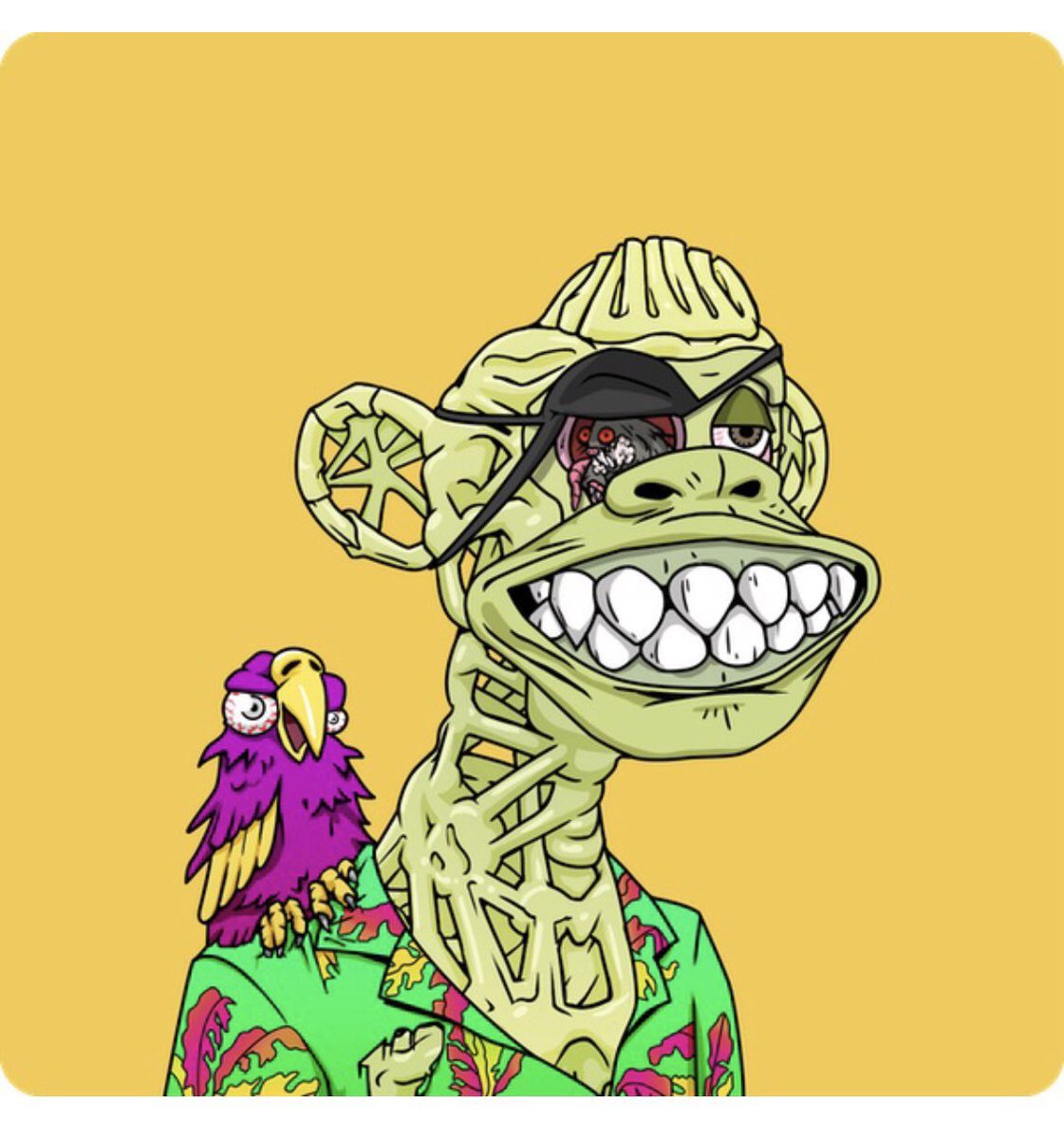 jetsetj.eth 🍌🏴☠️ tweet media